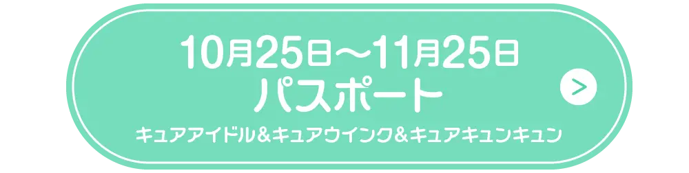 1025パスポートボタン