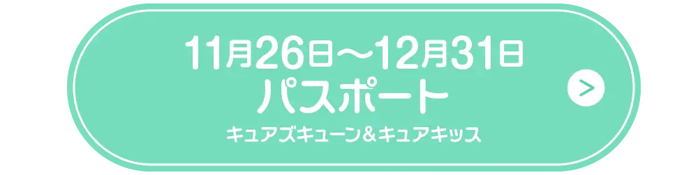 1126パスポートボタン