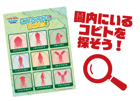 こびとづかんのイベントをラグナシアで開催！