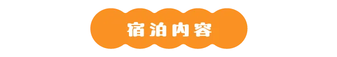 2026年6月20日スタート