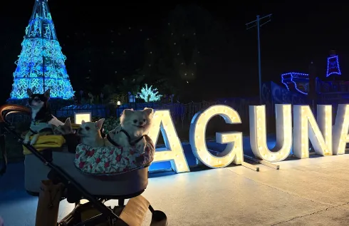 SKYわんにゃんマーケット