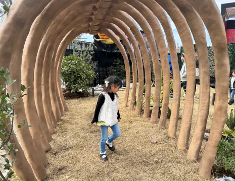 3D恐竜迷路