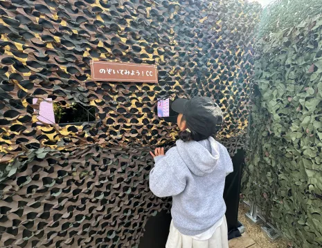 3D恐竜迷路