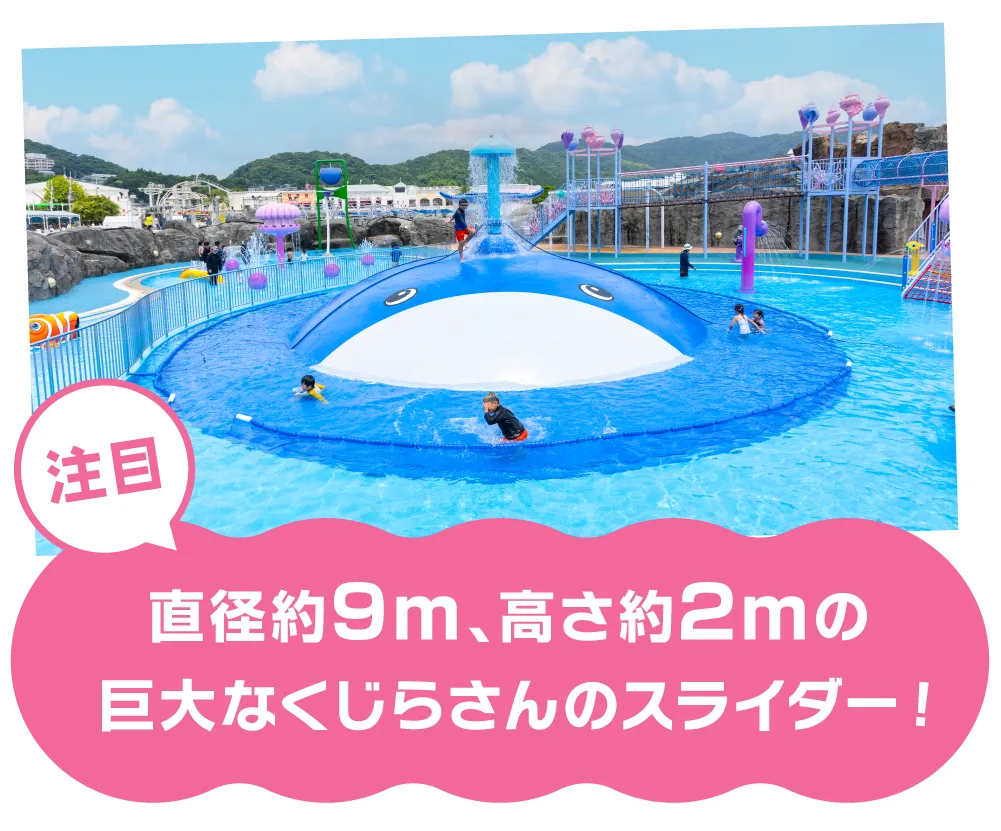 直径約9m、高さ約2mの巨大なくじらさんのスライダー