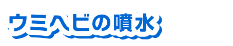 ウミヘビの噴水
