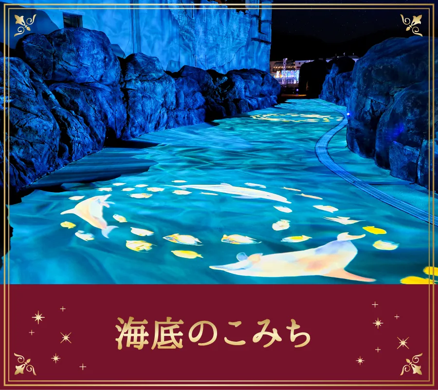 海底のこみち