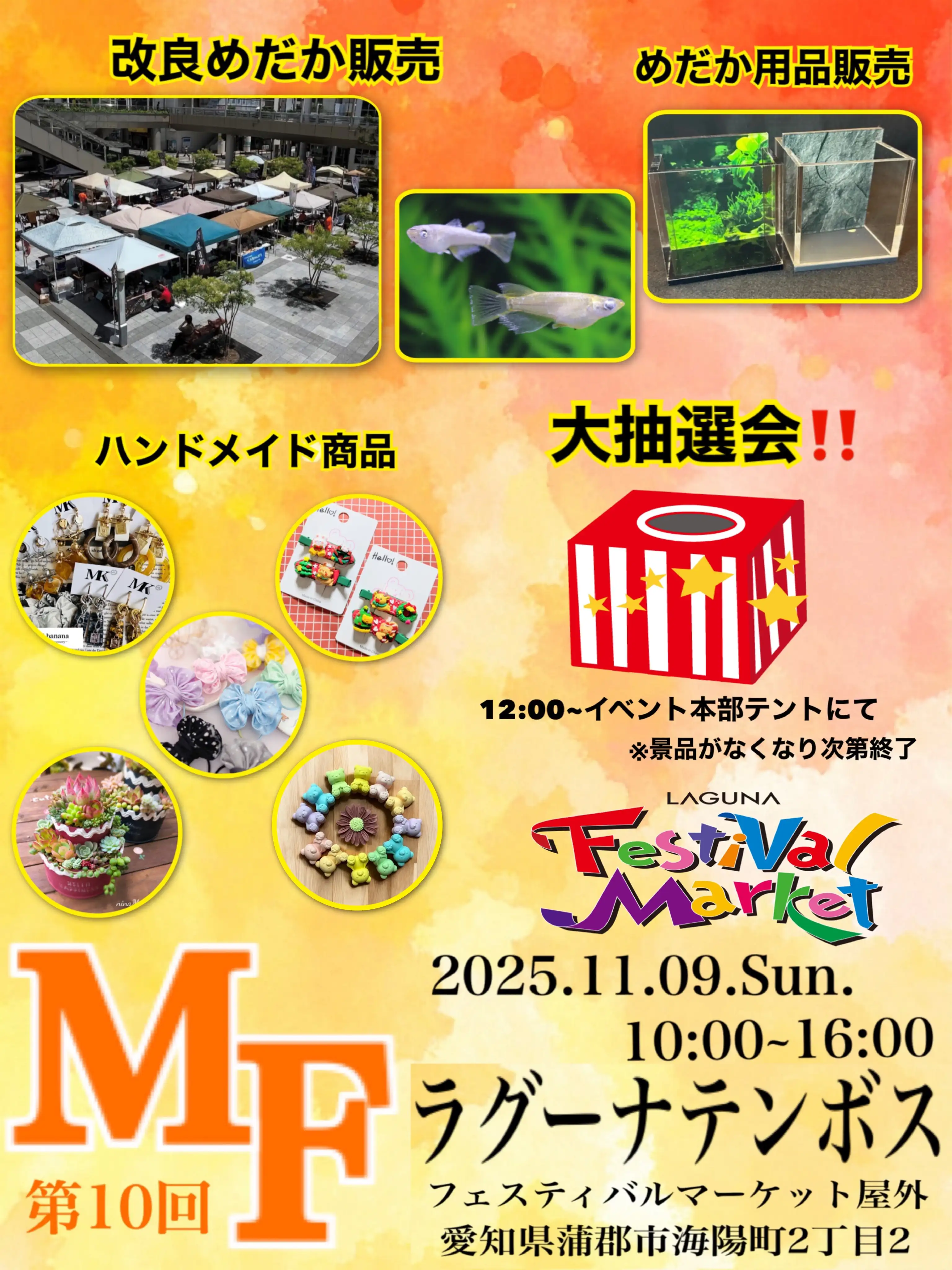 メダカのフリーマーケット