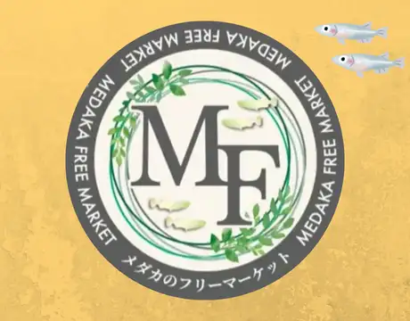 メダカのフリーマーケット