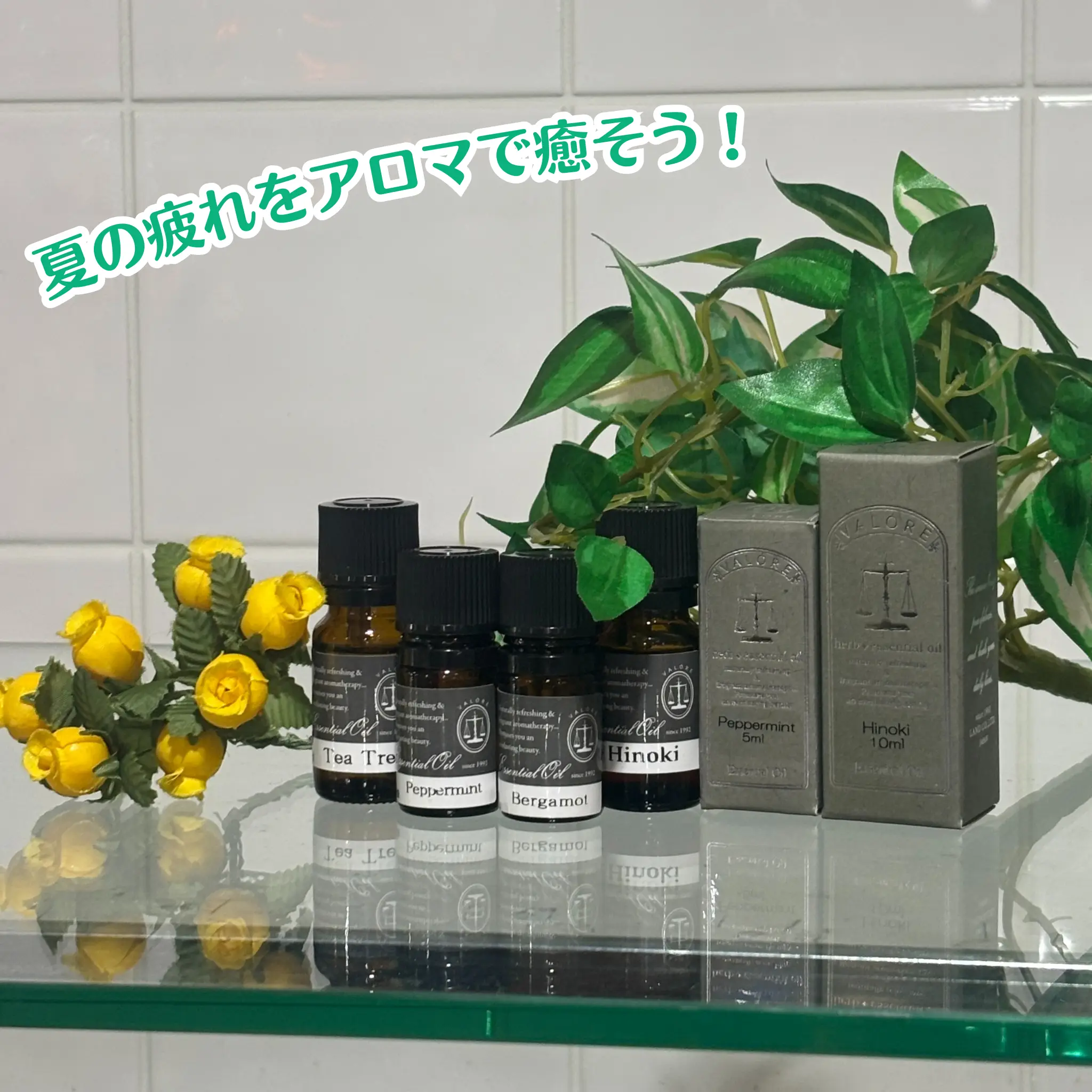 オイル10％OFF