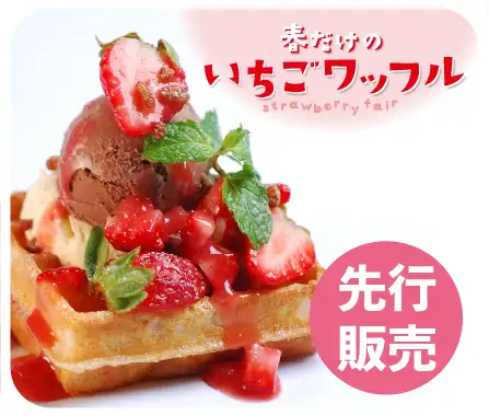 先行販売いちごワッフル