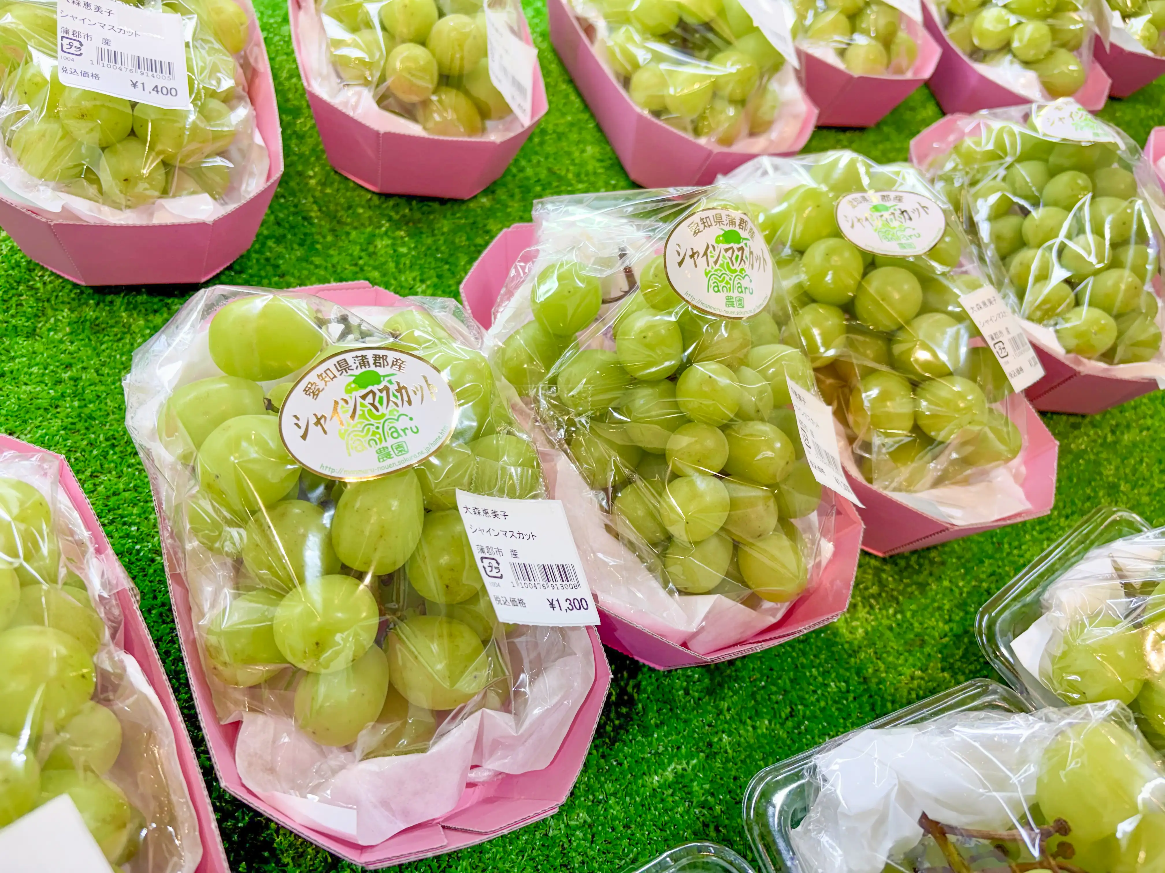 蒲郡産シャインマスカット