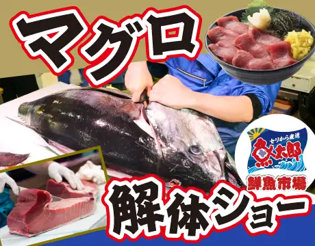 マグロ解体ショー