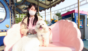 わんわんアトラクション