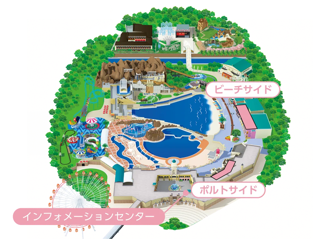 マップ